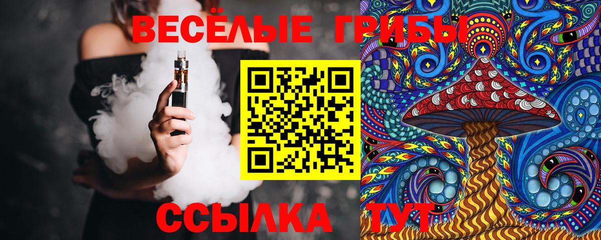 Псилоцибиновые грибы GOLDEN TEACHER  Вход с VPN  Светлоград 